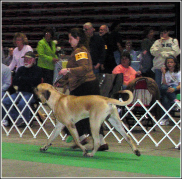 Bruce in DeKalb, April, 2005