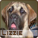 Lizzie