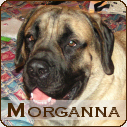 Morganna